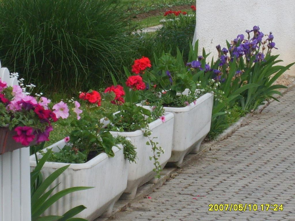 Apartmani Anna Sveti Martin Na Muri Extérieur photo