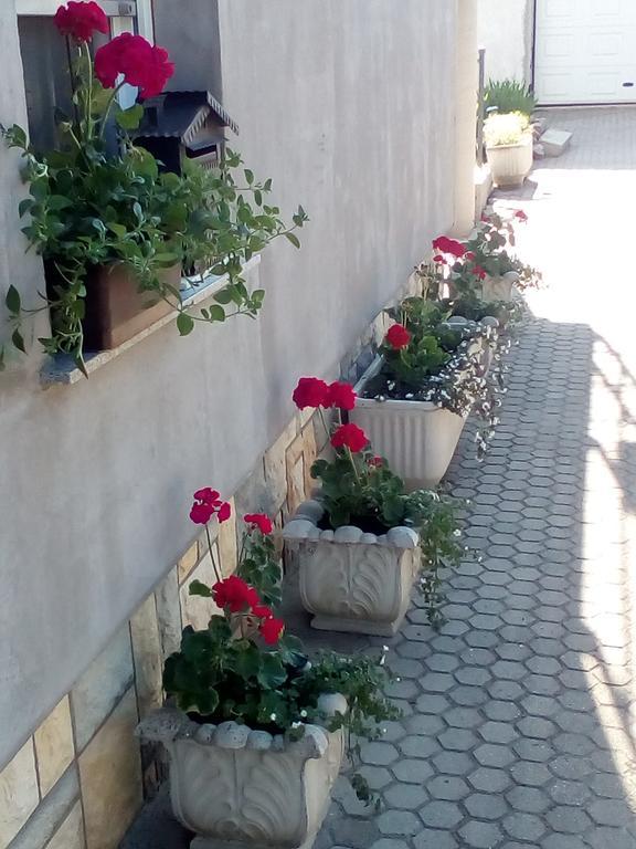 Apartmani Anna Sveti Martin Na Muri Extérieur photo